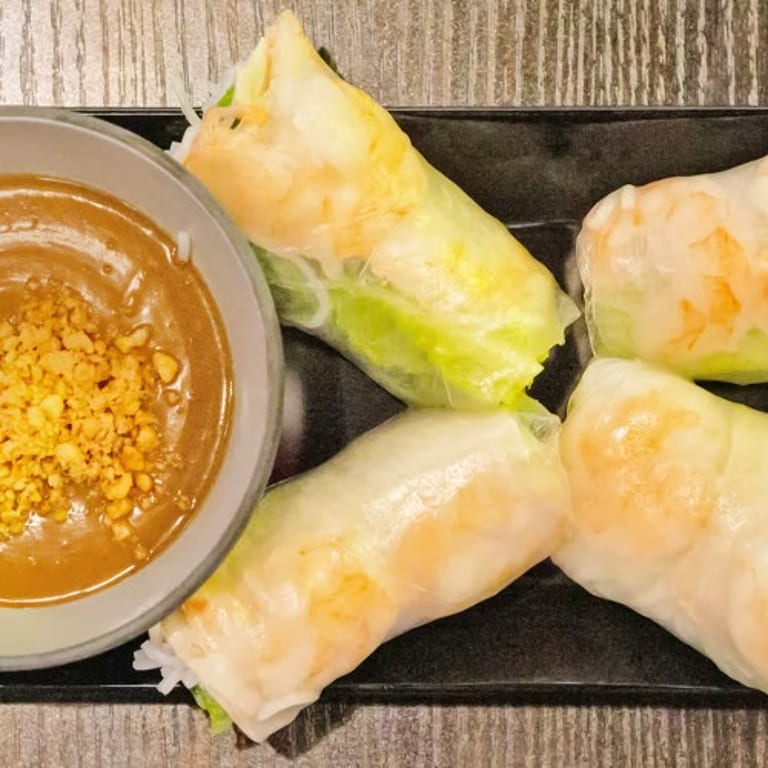 Fresh Vietnamese Spring Rolls and More